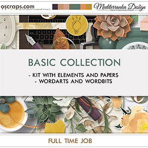 Full time job (Basic collection 2 in 1) 