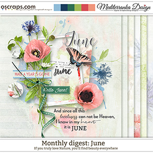 Monthly Digest: June (Mini kit)