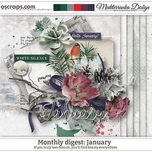 Monthly Digest: January (Mini kit)