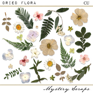 CU Dried Flora by Mystery Scraps 