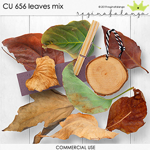 CU 656 LEAVES MIX