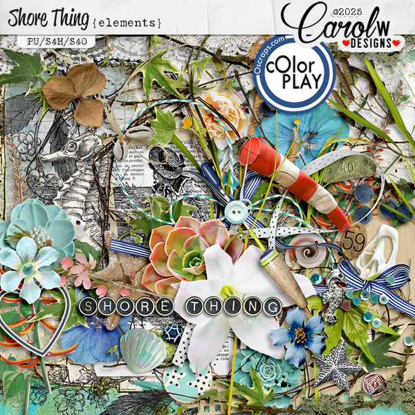 Shore Thing-Elements