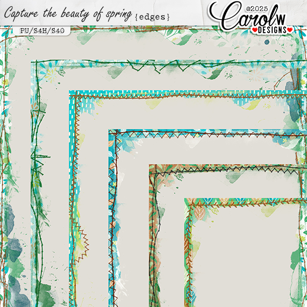 Capture the beauty of spring-Edge