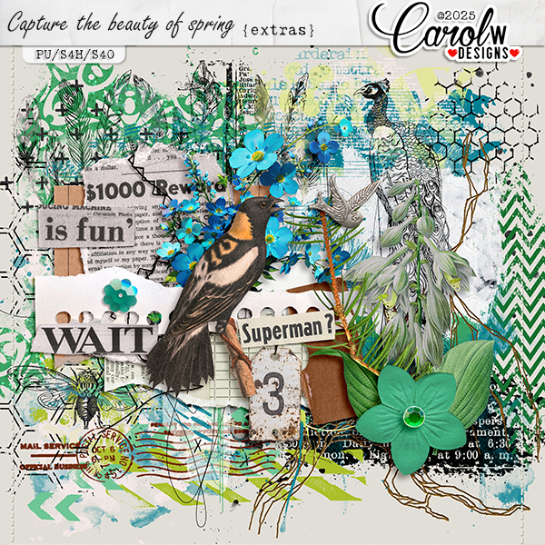 Capture the beauty of spring-Extras