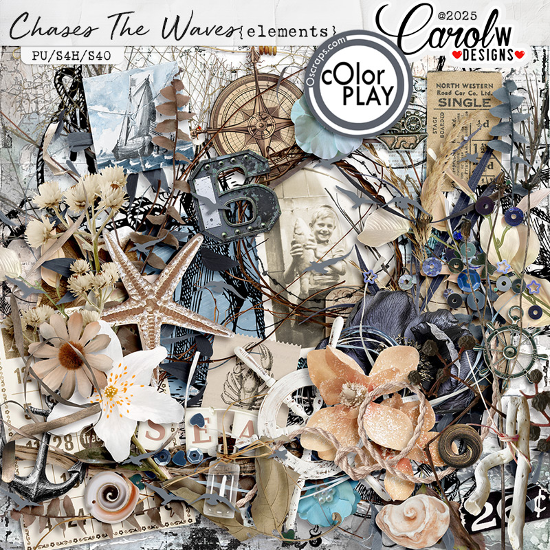 Chases The Waves-Elements