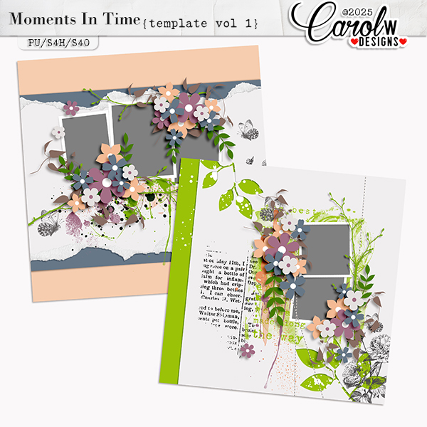 Moments In Time-Template vol 1