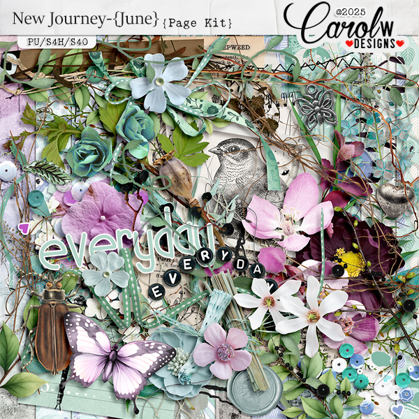 New Journey-{June}-Page Kit