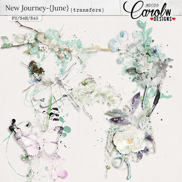 New Journey-{June}-transfers