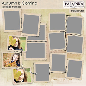 Autumn Is Coming Collage Frames