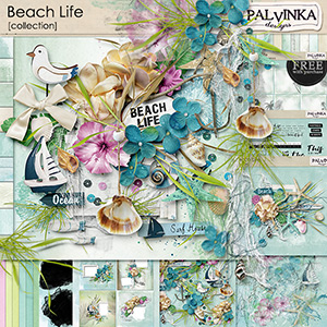 Beach Life Collection