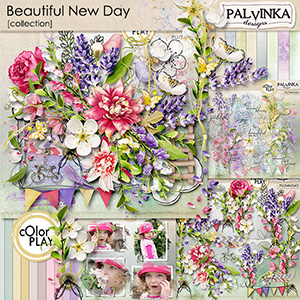 Beautiful New Day Collection