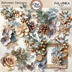 Between Seasons Clusters Between Seasons Clusters