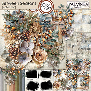 Between Seasons Collection + free Gift Between Seasons Collection + free Gift
