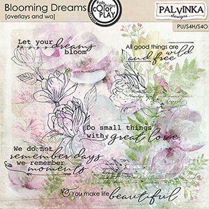 Blooming Dreams Overlays and WA