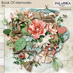 Book Of Memories Kit