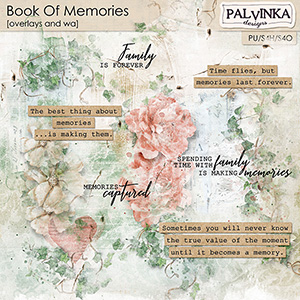 Book Of Memories Overlays