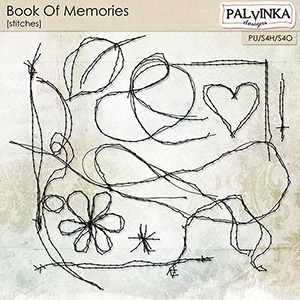 Book Of Memories Stitches