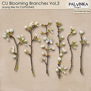 CU Blooming Branches 3