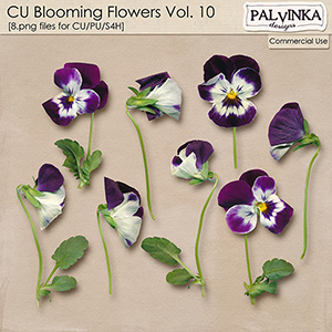 CU Blooming Flowers 10