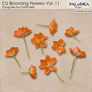 CU Blooming Flowers 11
