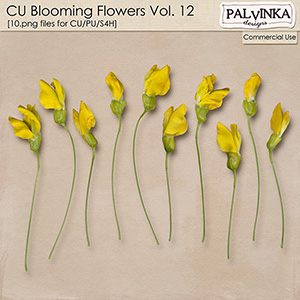CU Blooming Flowers 12