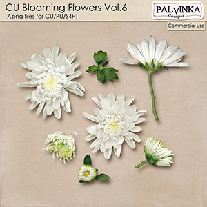 CU Blooming Flowers Vol.6 