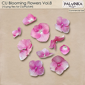 CU Blooming Flowers 8