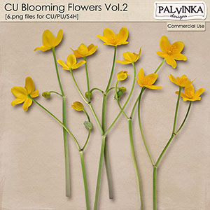 CU Blooming Flowers Vol.2