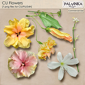 CU Blooming Flowers Vol.3
