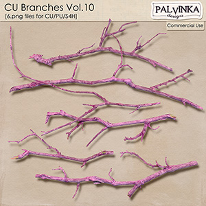 CU Branches 10