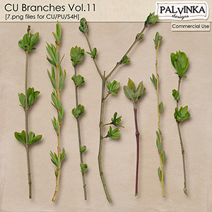 CU Branches 11