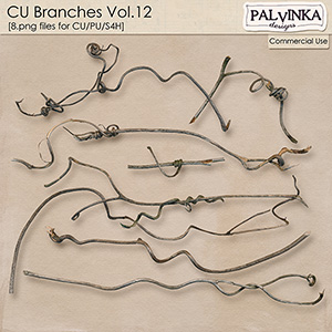 CU Branches 12