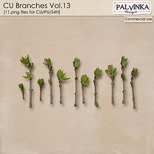 CU Branches 13
