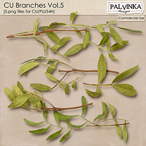 CU Branches Vol.5
