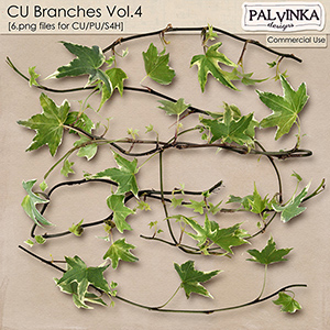 CU Branches Vol.4