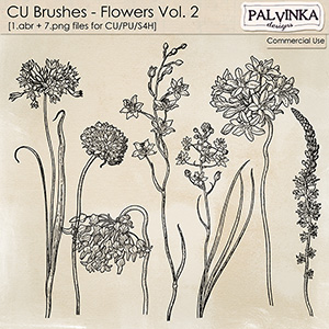 CU Brushes - Flowers 2