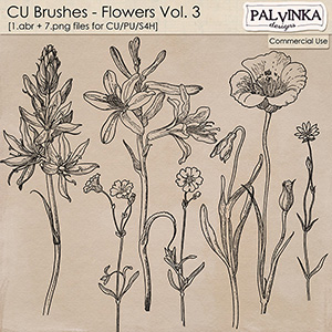 CU Brushes - Flowers 3