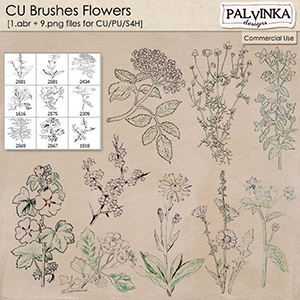 CU Brushes Flowers