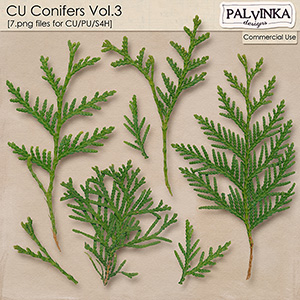 CU Conifers 3