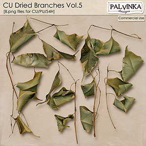 CU Dried Branches 5