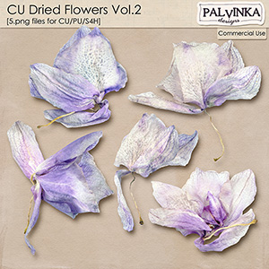 CU Dried Flowers Vol.2