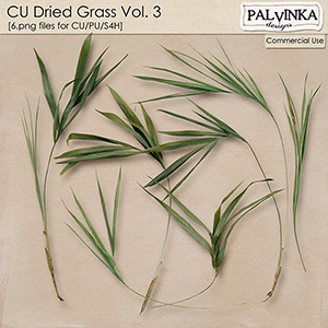 CU Dried Grass 3