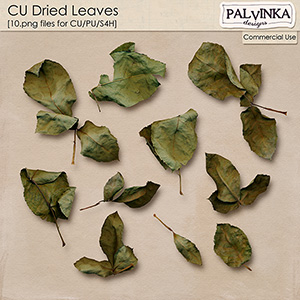 CU Dried Leaves