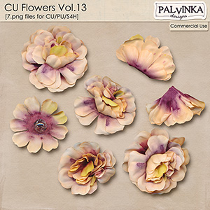 CU Flowers Vol.13