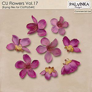 CU Flowers 17