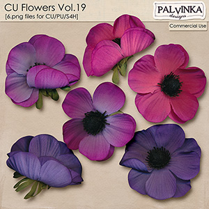 CU Flowers 19