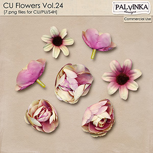 CU Flowers 24