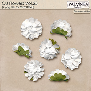 CU Flowers 25