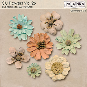 CU Flowers 26
