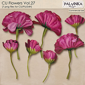 CU Flowers 27